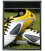 Buzon Gate Futbol 1