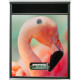 Buzon Personalizado