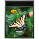 Buzon Personalizado