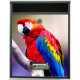 Buzon Personalizado