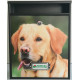 Buzon Personalizado