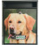 Buzon Gate Dog 1
