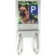 DOG PARKING PASTOR ALEMAN
