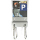 DOG PARKING COLLIE