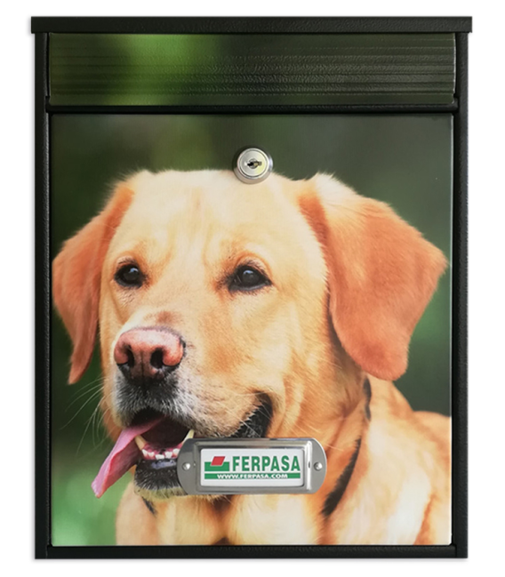 Buzon Arcade  Labrador