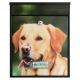 Buzon Arcade  Labrador
