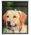 Buzón Arcade Labrador