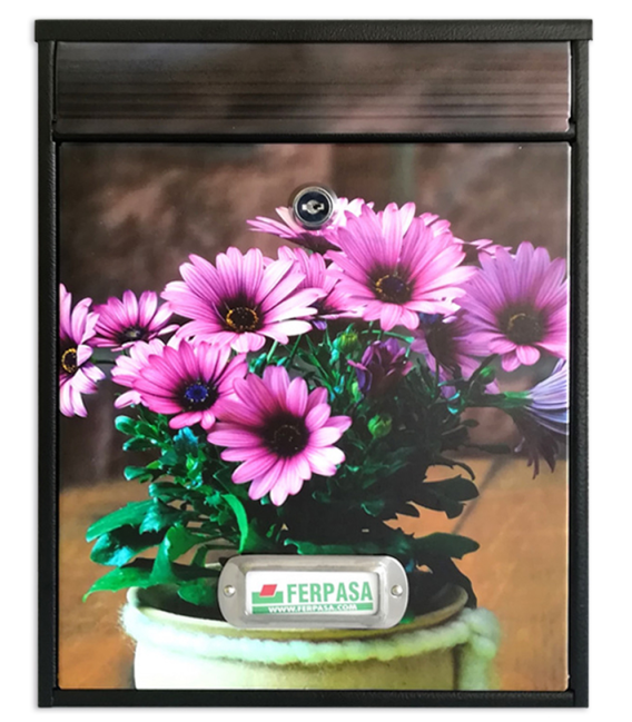 Buzon Arcade  Labrador