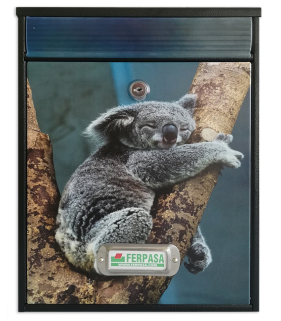 Buzon Arcade  Labrador