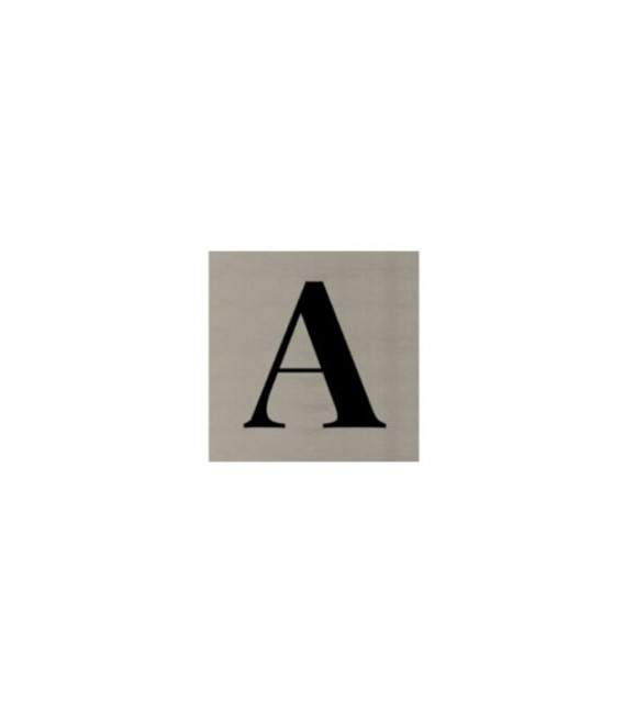 RÓTULOS ACERO INOX PUERTA (80X80MM)